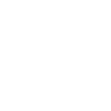 動画で知る