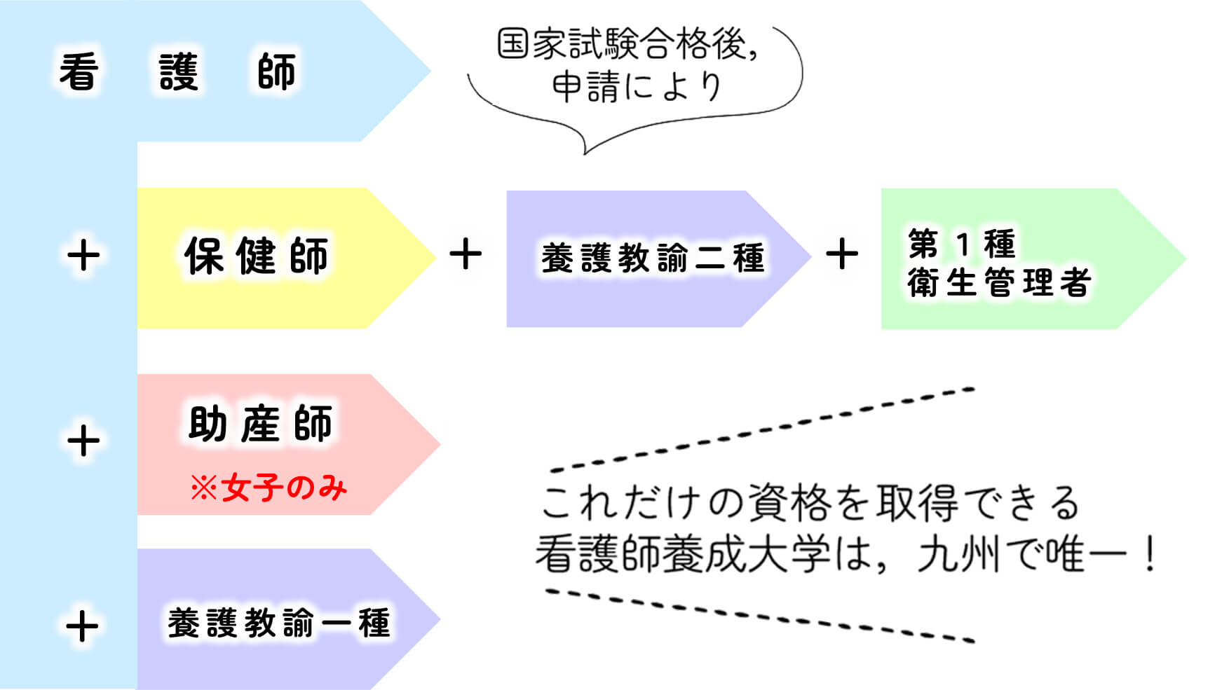 取得できる免許・資格