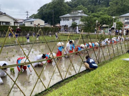 留学生が「御田植祭」で日本文化を体験