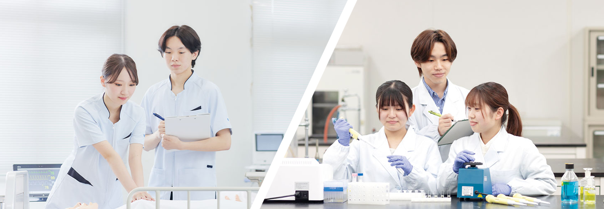看護栄養学部