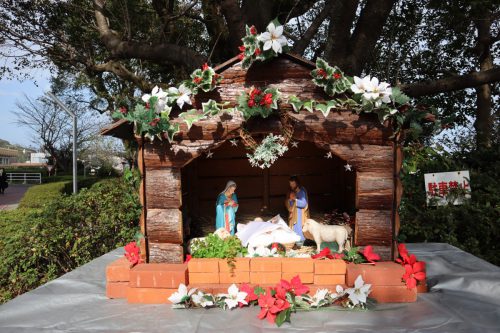 クリスマスに向けて準備が始まっています 鹿児島純心女子短期大学 クリスマスに向けて準備が始まっています 鹿児島純心女子短期大学
